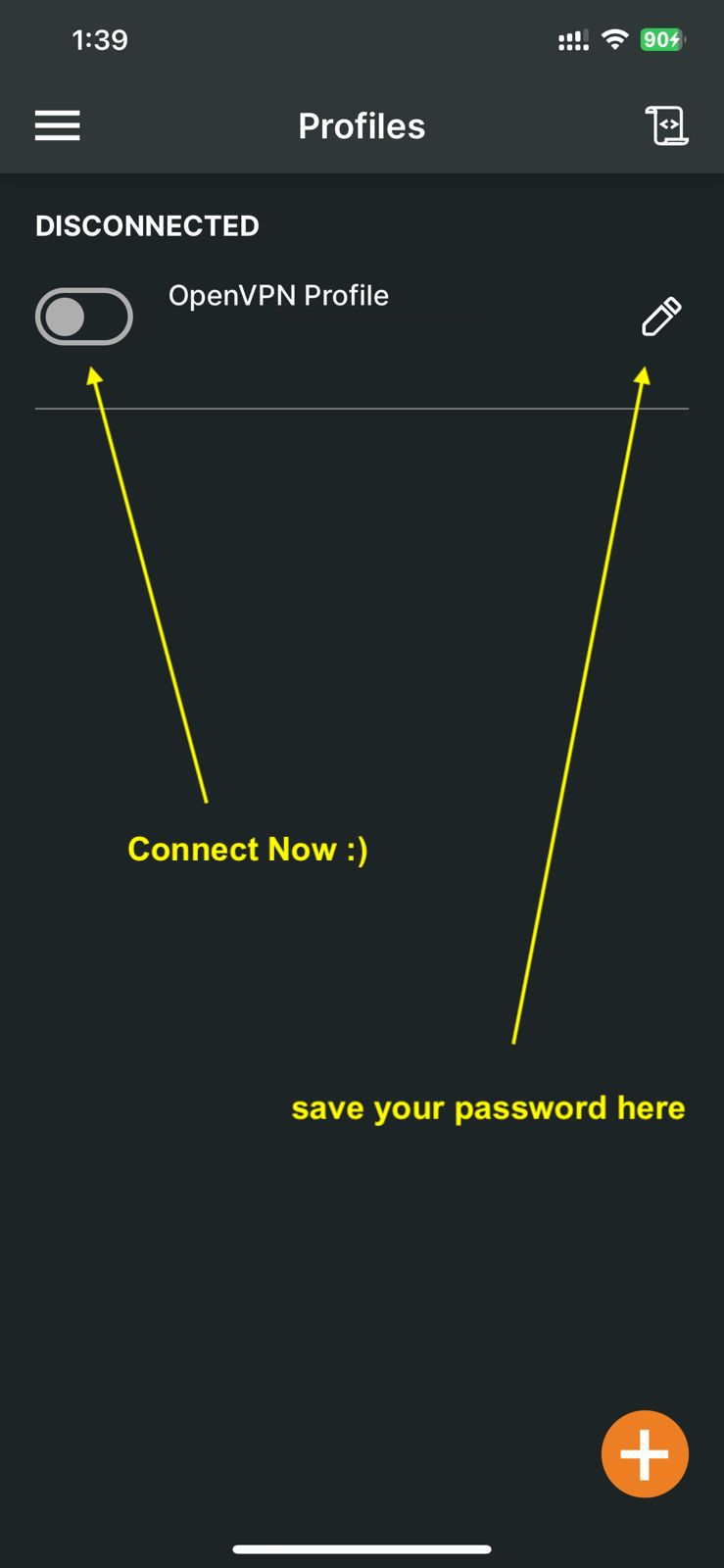 Connect now your openvpn